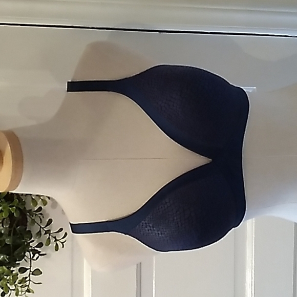 Blissful benefits 36C blue bra - Picture 1 of 4